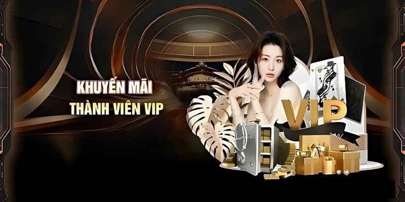 Khuyến mãi QQ88 tặng thưởng cho thành viên Vip