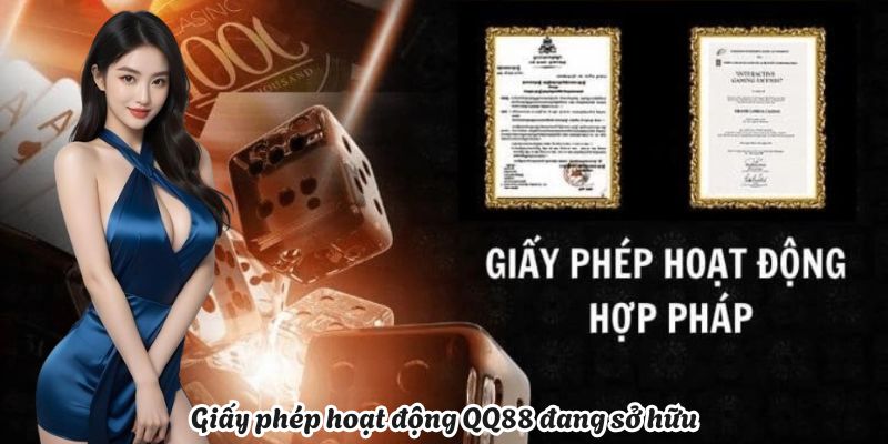 Giấy phép hoạt động QQ88 đang sở hữu